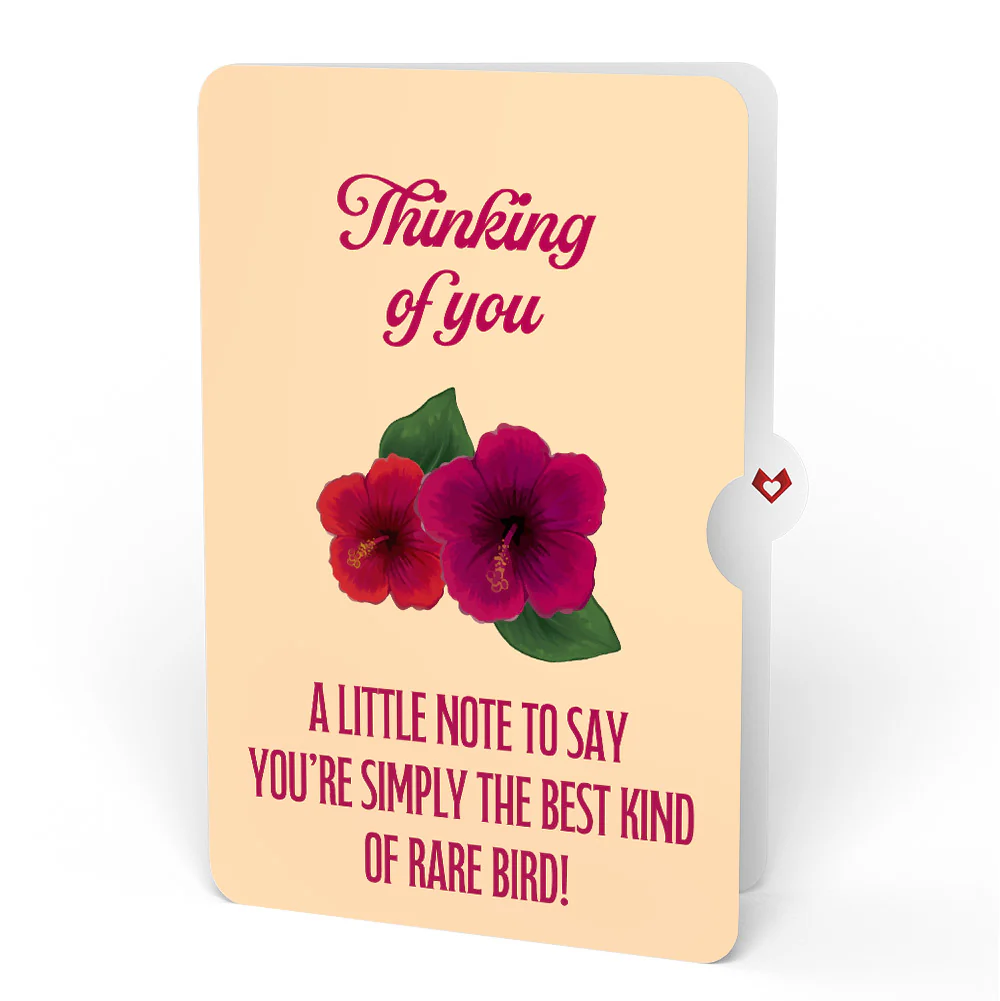 Rainforest Toucan Thinking of You Pop-Up Card and Hibiscus Sentiment Set - Image 4