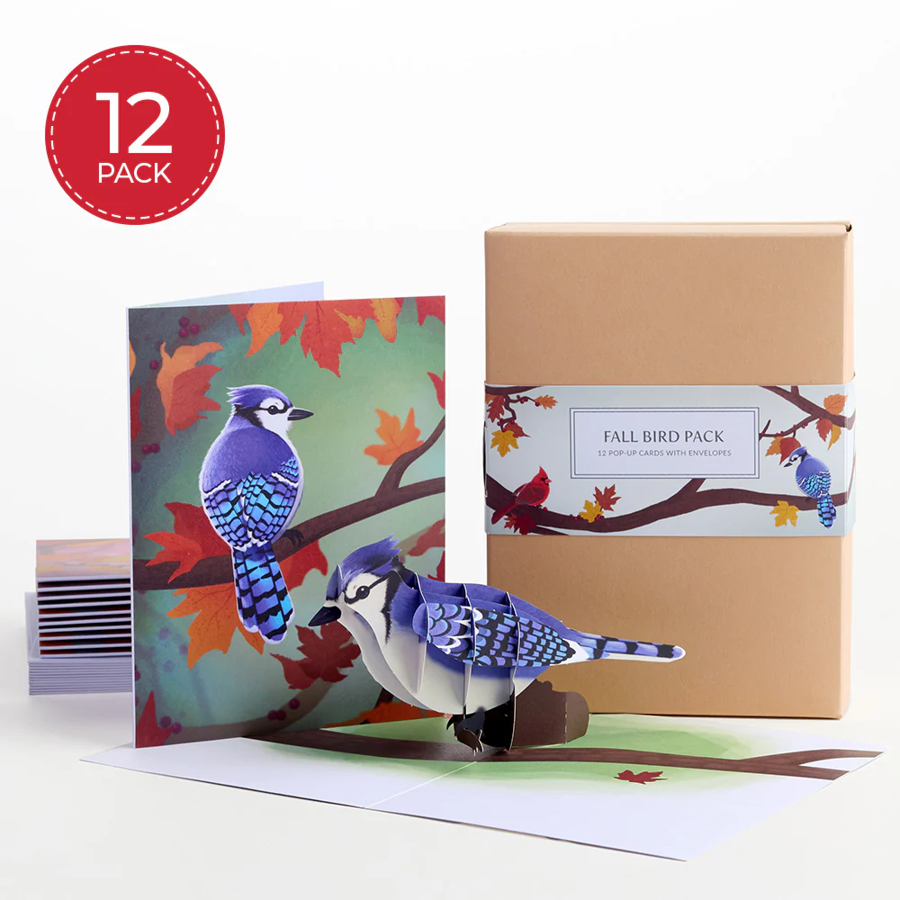 Seasonal Birds Box Set Bundle (Assorted 36-Pack): Paperpop® Card - Image 6