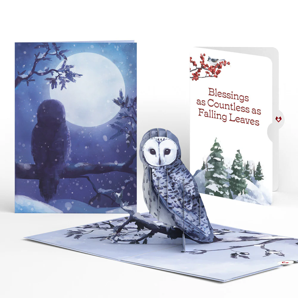 Snowy Owl Winter Pop-Up Card and Countless Blessings Sentiment Set