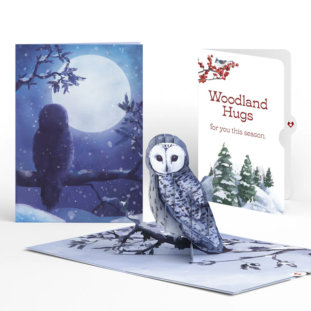 Snowy Owl Winter Pop-Up Card and Sentiment Set