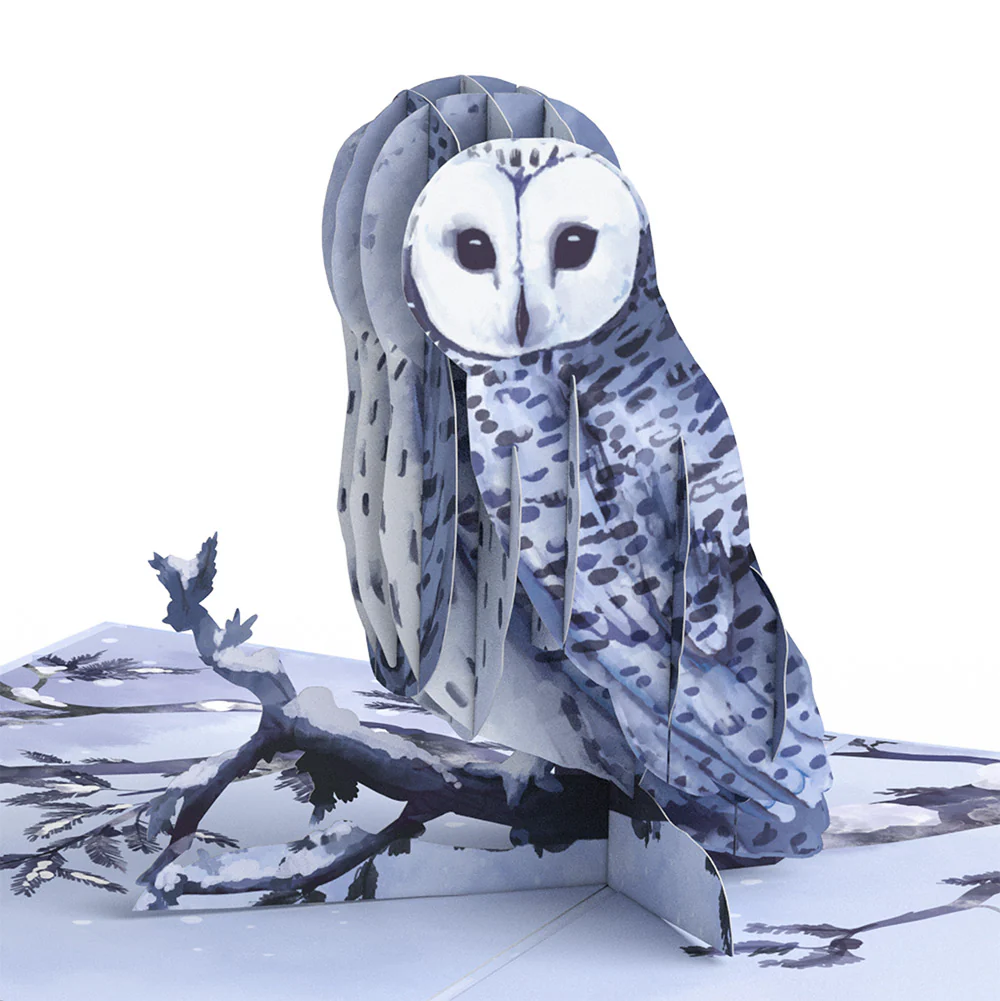 Snowy Owl Winter Pop-Up Card and Sentiment Set for Dad - Image 3