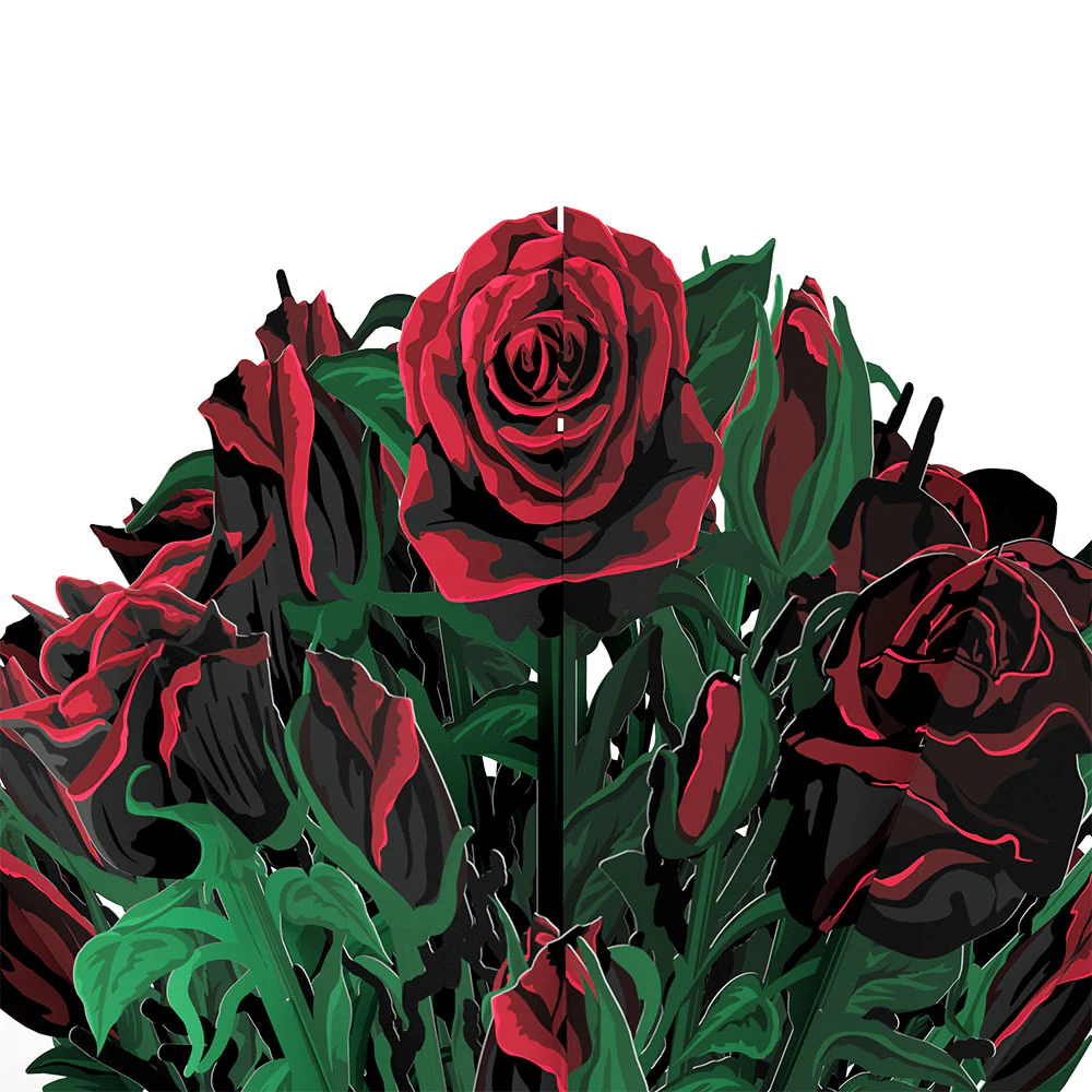 Star Wars™ Darth Vader™ Be Mine Pop-Up Card & Flower Buds Bouquet Bundle - Image 7
