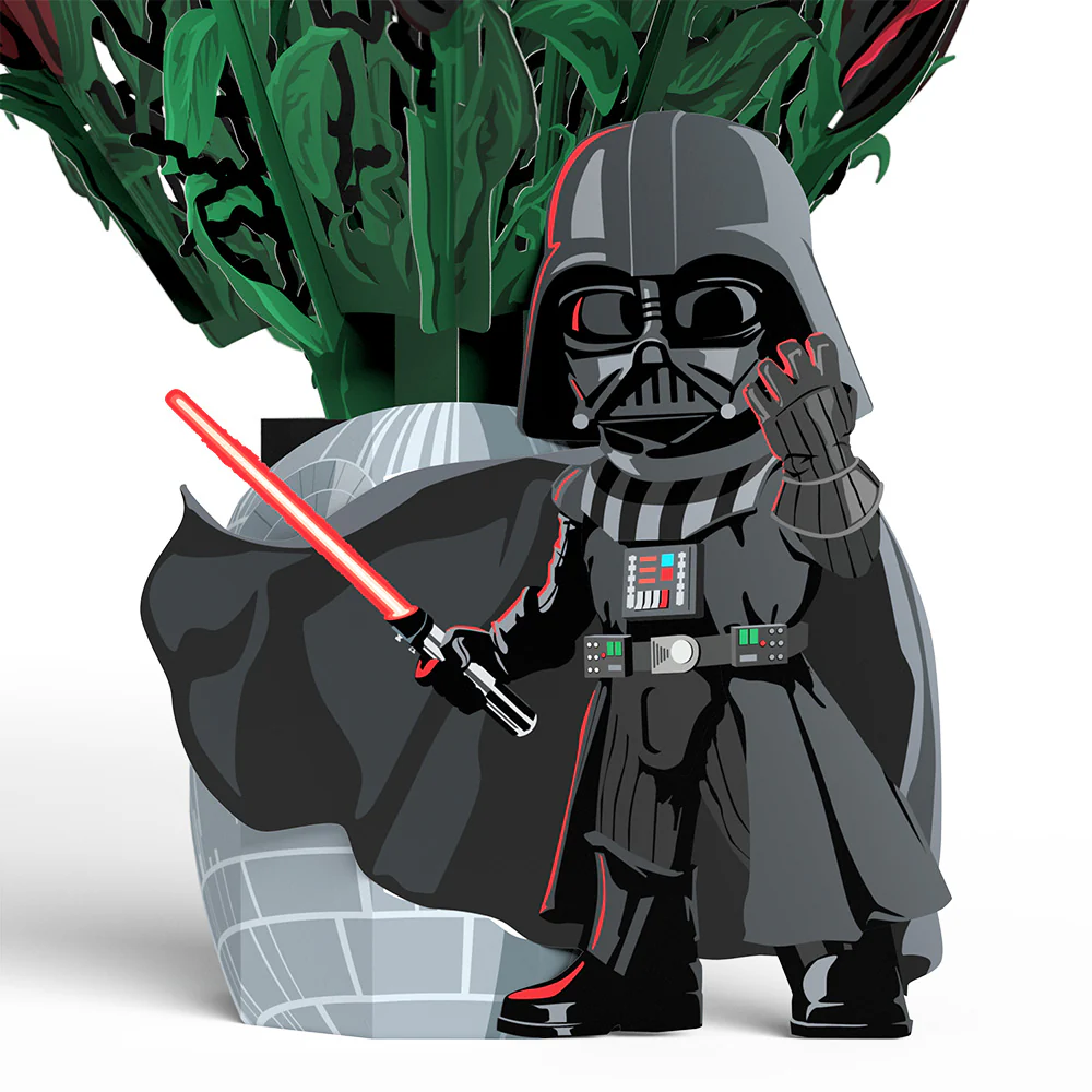 Star Wars™ Darth Vader™ Take My Breath Away Pop-Up Card & Flower Buds Bouquet Bundle - Image 5