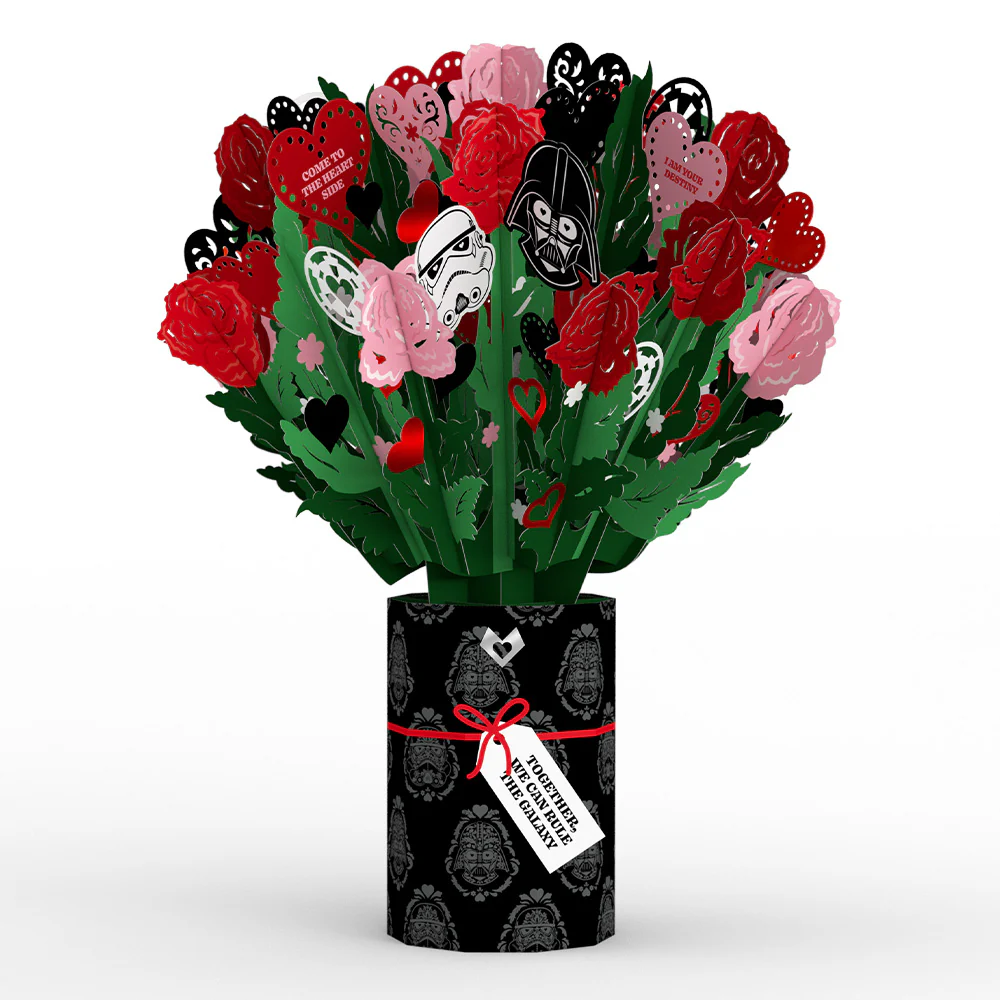 Star Wars™ Darth Vader™ Valentine Bundle - Image 5
