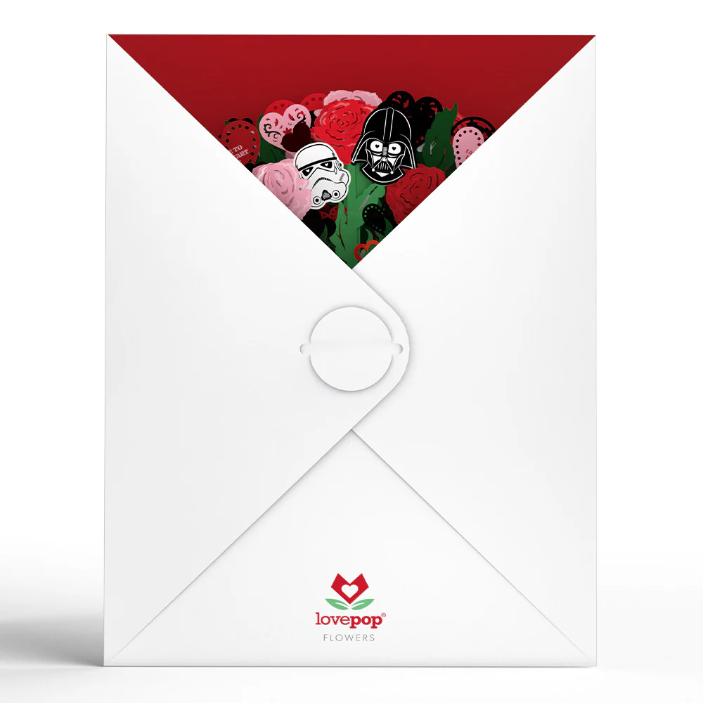 Star Wars™ Darth Vader™ Valentine Bundle - Image 6