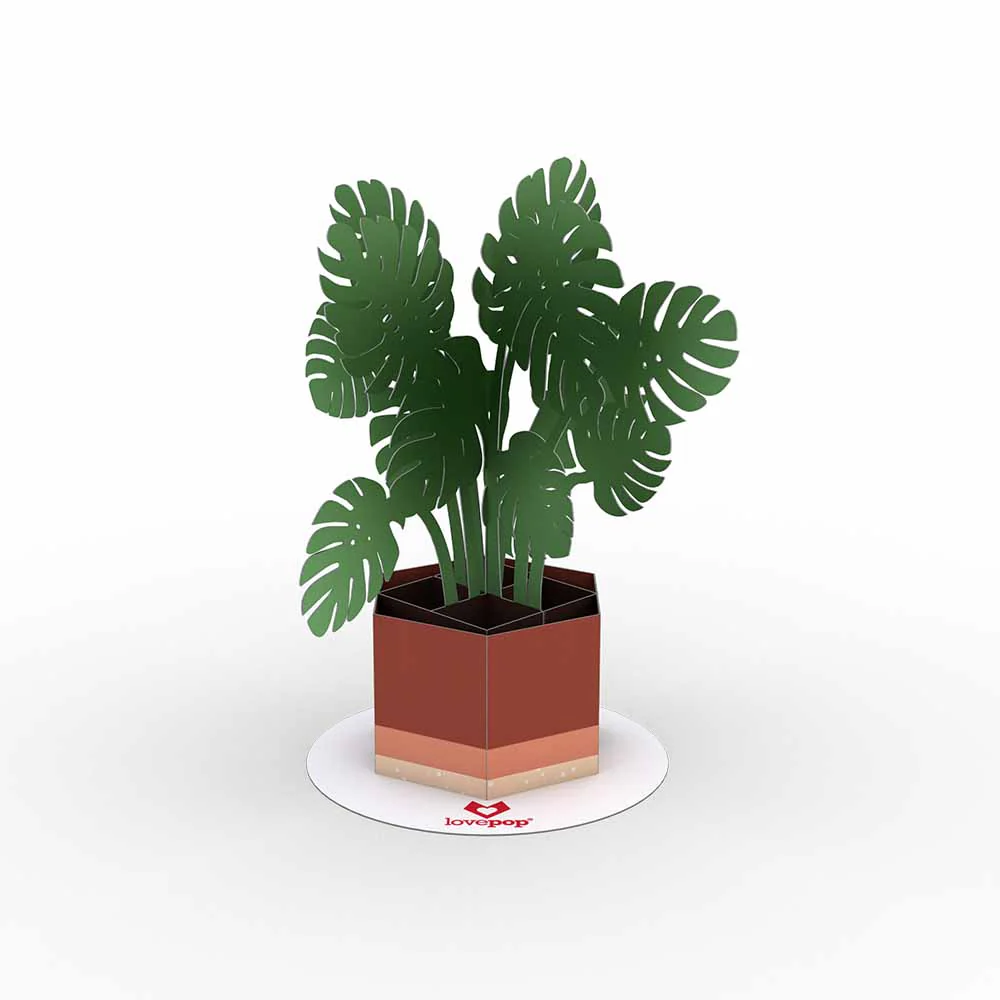 Stickerpop™: Monstera (5-Pack) - Image 3