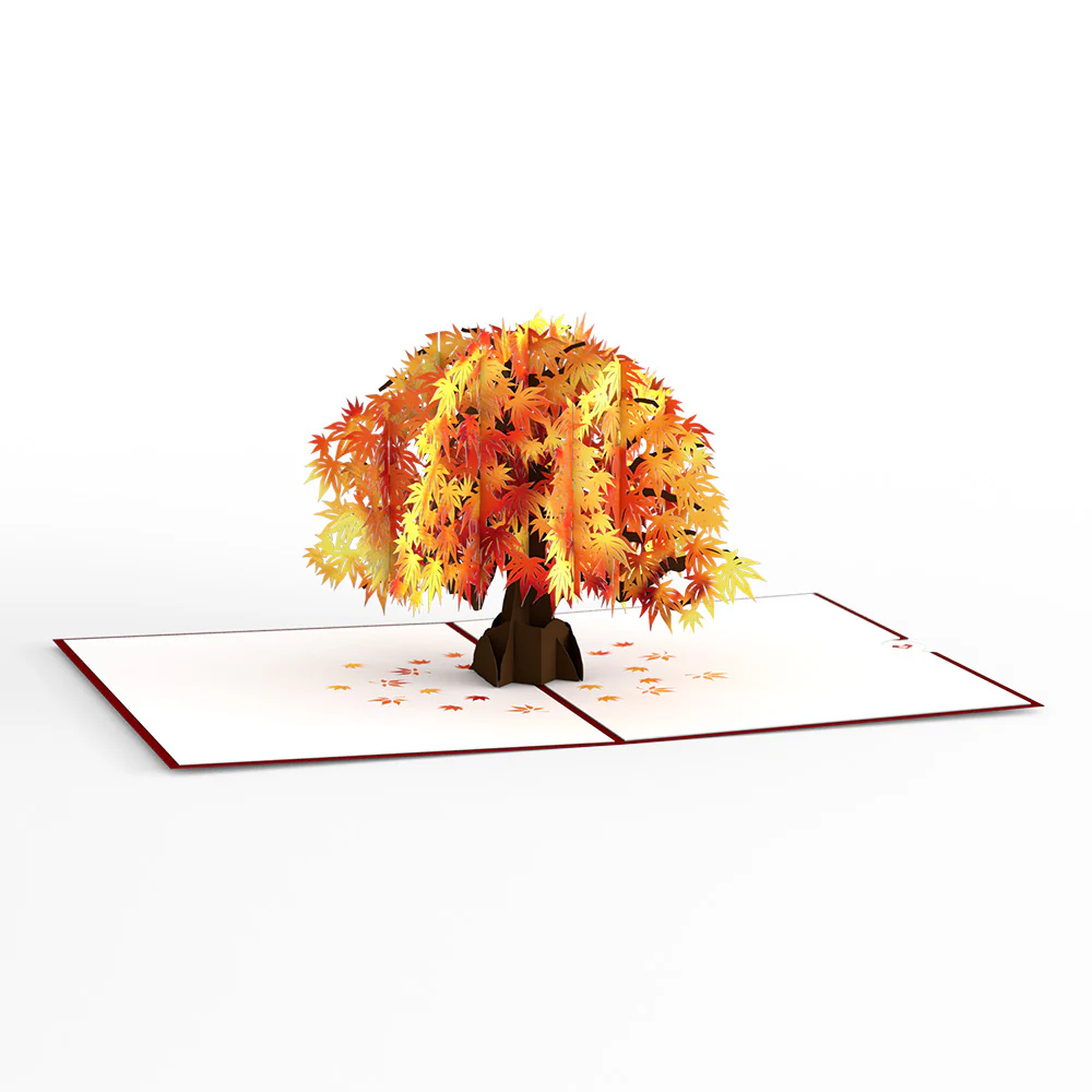 Sugar Maple Tree Pop-Up Card - Image 3