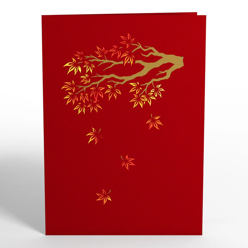 Sugar Maple Tree Pop-Up Card - Image 5