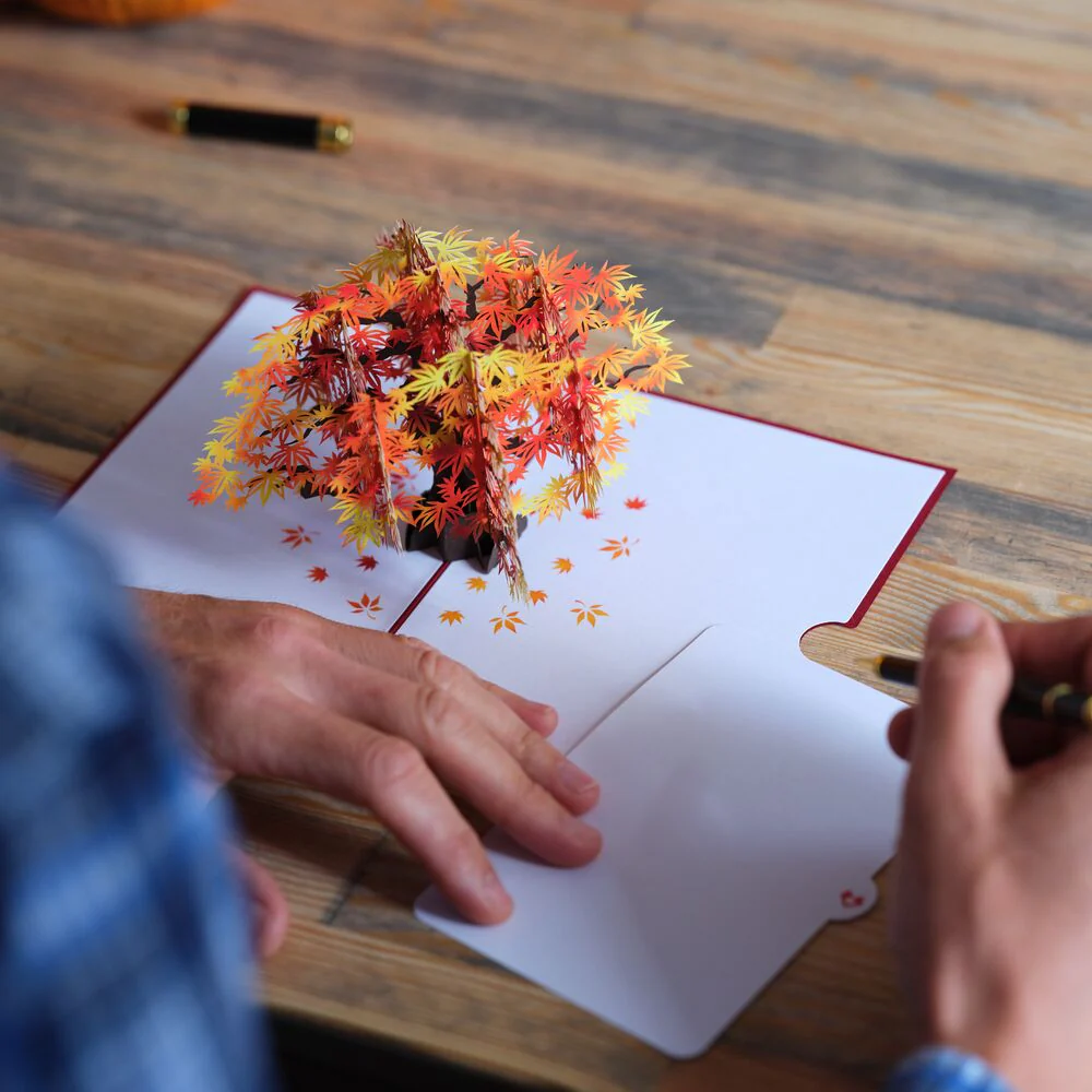 Sugar Maple Tree Pop-Up Card - Image 7
