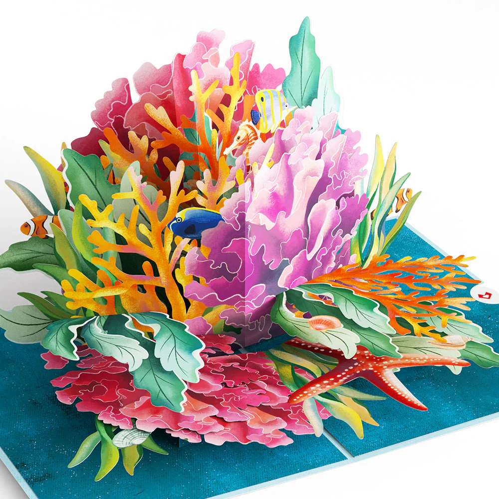 Sunny Summer 3-Pack - Image 5