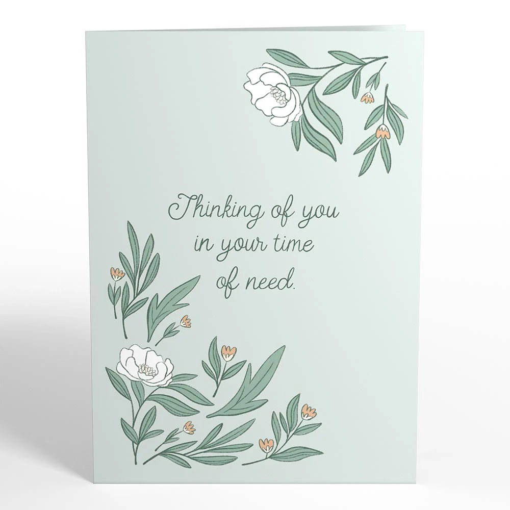 Sympathy 3-Pack - Image 4