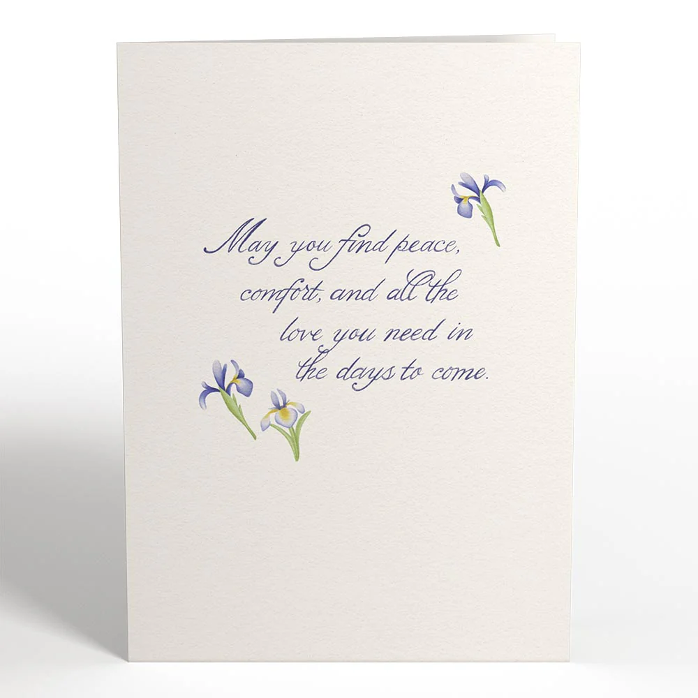 Sympathy 3-Pack - Image 8