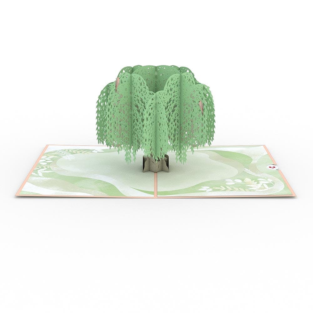Sympathy Tree and Tulips Bundle - Image 5