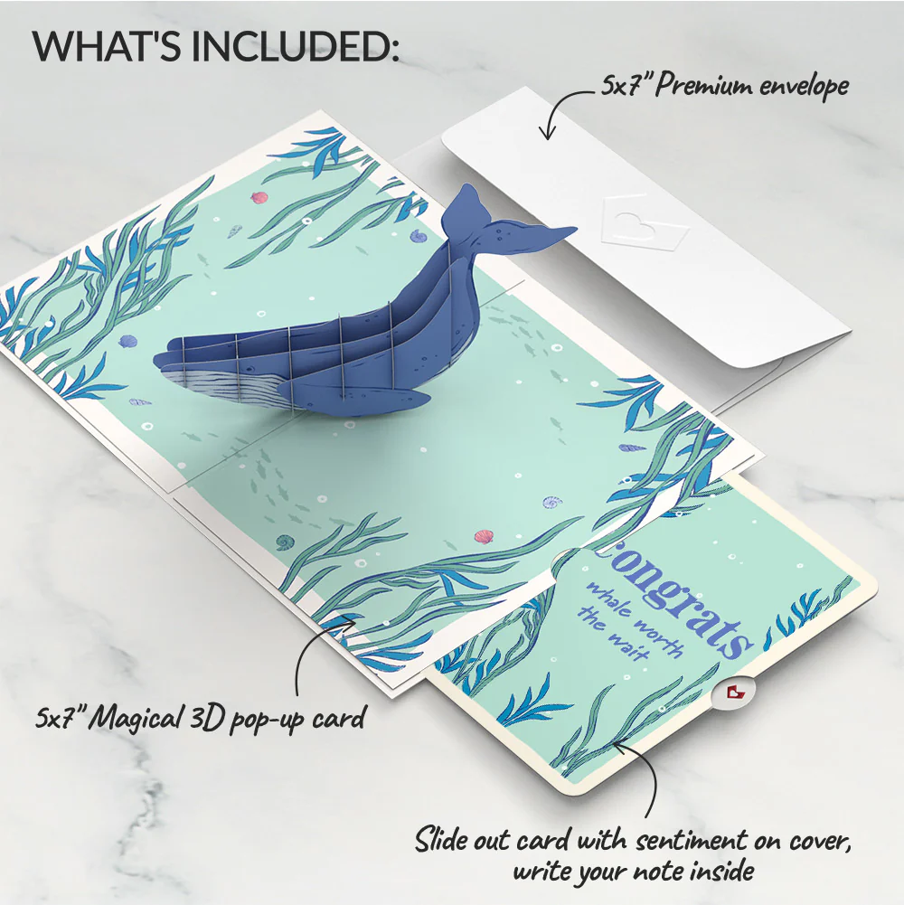 Whale Beneath the Waves Congratulations Pop-Up Card and Sentiment Set - Image 2