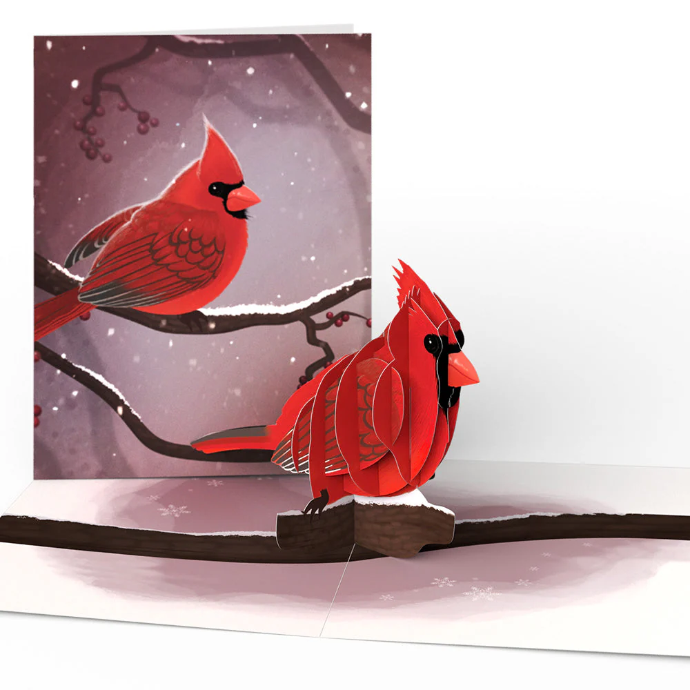 Winter Bird Box Set (Assorted 12-Pack): Paperpop® Card - Image 5