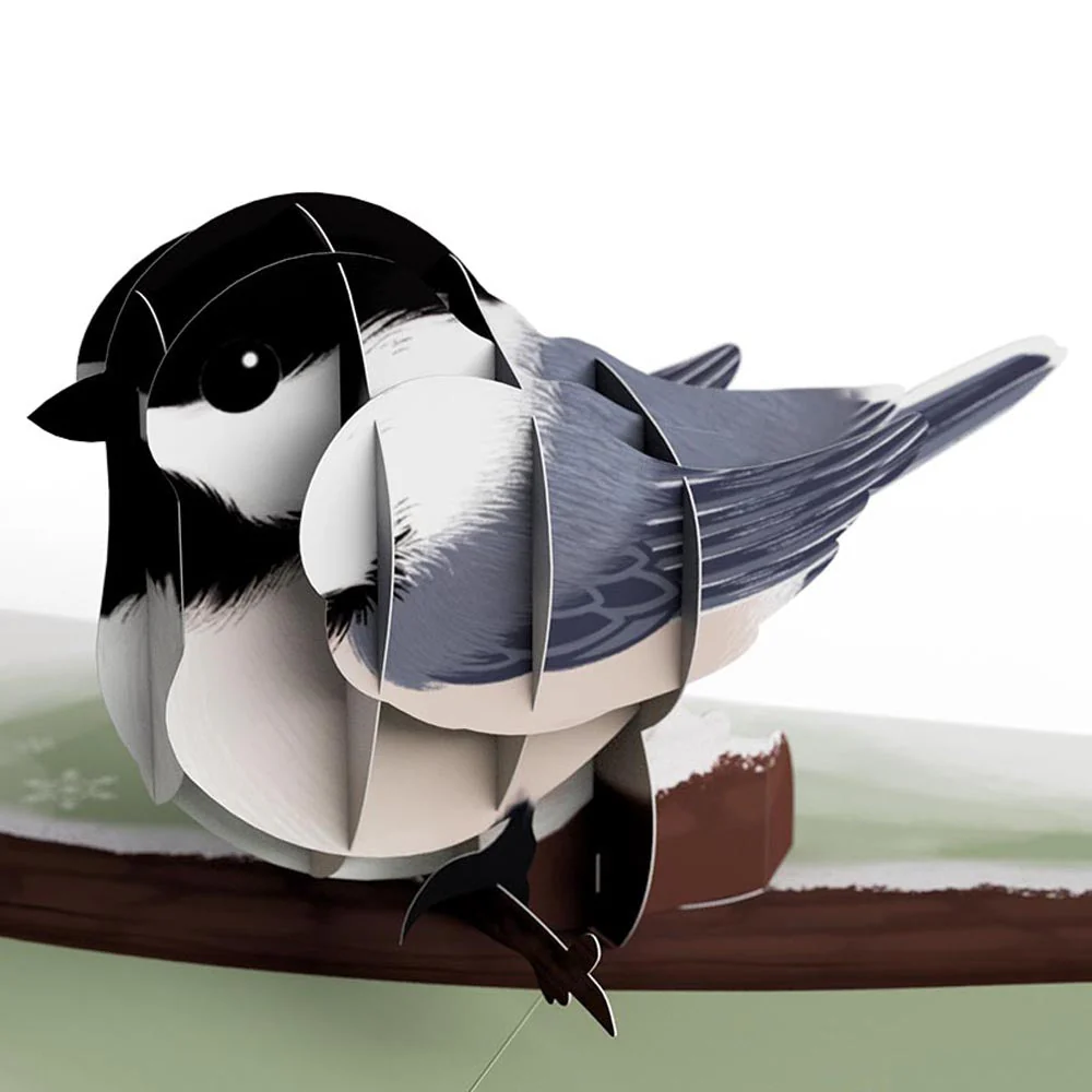 Winter Bird Box Set (Assorted 12-Pack): Paperpop® Card - Image 8