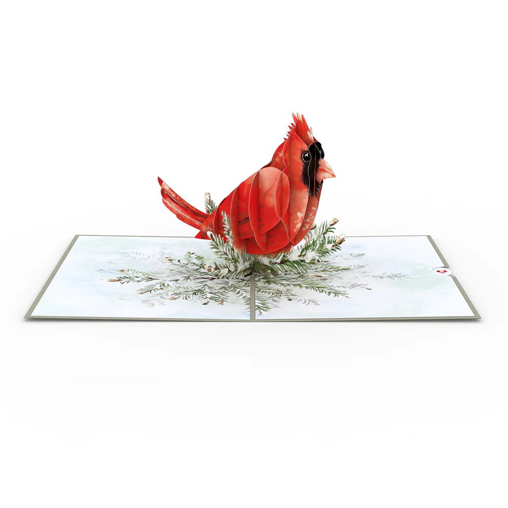 Winter Cardinal Pop-Up Card - Image 3