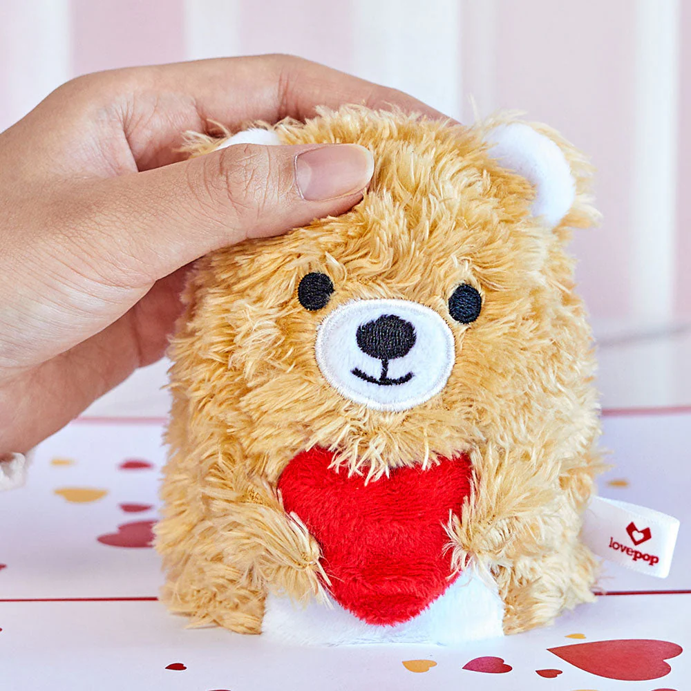 'You're The Beary Best' Plushpop Card - Image 7